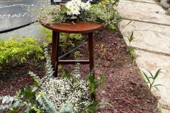 Homenaje-Postumo-al-Ing.-Jose-Enrique-Levet-Gorozpe-Secretario-General-FESAPAUV-3